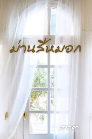 ปกนิยาย ม่านสีหมอก (มี E-book)