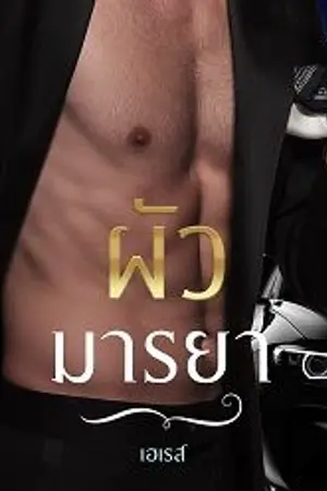 ปกนิยาย ผัวมารยา | (มี e-book)