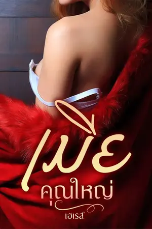 ปกนิยาย