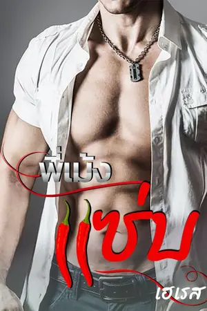 ปกนิยาย พี่เม้งแซ่บ || (มี e-book)