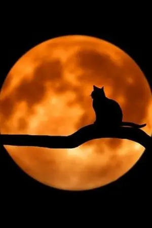 ปกนิยาย [fic douluo dalu] กำเนิดเทพนิทรา