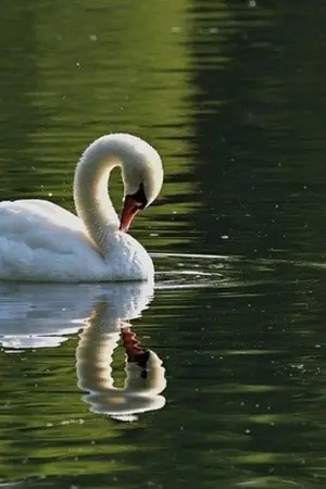 ปกนิยาย ฉันมาทำอะไรที่นี่?? (ชื่อชั่วคราว)