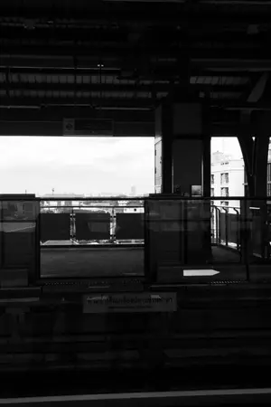 ปกนิยาย Mafia daughter in law