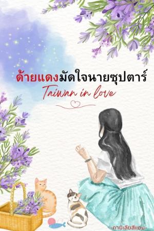 ปกนิยาย ด้ายแดงมัดใจนายซุปตาร์ (Taiwan in love)