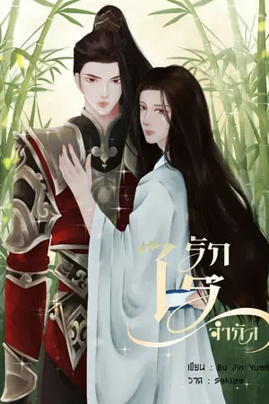 ปกนิยาย รักไร้จำกัด