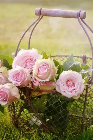 ปกนิยาย ร่างร่ายรัก