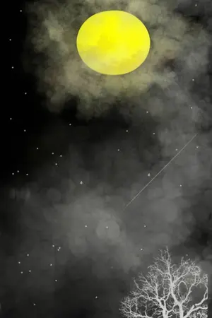 ปกนิยาย หลินเย่วหนิง