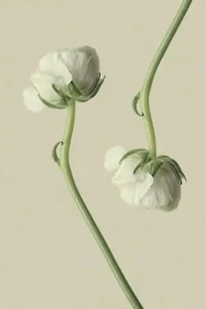 ปกนิยาย END | ตัวแทน #10069