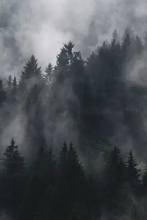 ปกนิยาย แสงไฟ ณ ปลายหมอก