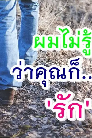 ปกนิยาย