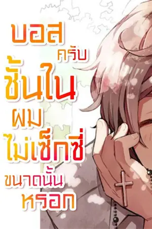 ปกนิยาย บอสครับ ชั้นในผมไม่ได้เซ็กซี่ขนาดนั้นหรอก [นิยายแปล]