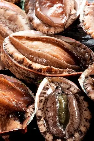 ปกนิยาย ผู้เสื่อมหอยรอบที่ 666