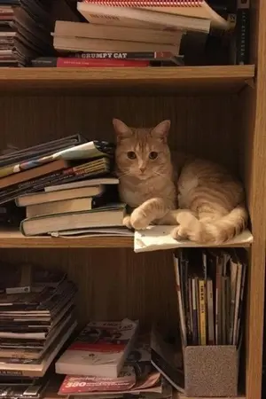 ปกนิยาย Talk​ ​about​ ​your​ ​novel​ #คุณแฟนฟิคชั่น