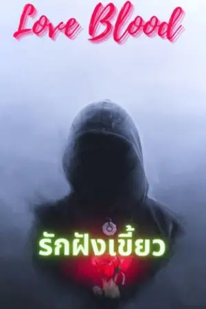 ปกนิยาย