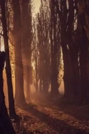 ปกนิยาย เทพมารมังกรทมิฬ