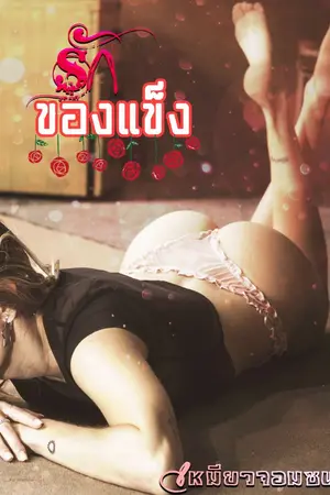 ปกนิยาย รักของแข็ง