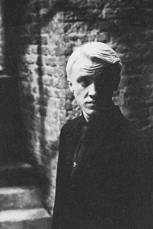 ปกนิยาย Impossible Love (Draco X Hermione)