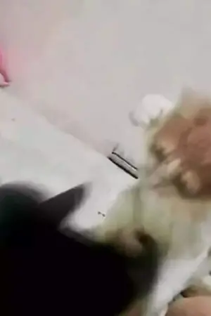 ปกนิยาย มิด ตะ พาบ