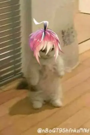 ปกนิยาย Fic Douluo Dalu II | สร้อยหยกผูกโชคชะตา | YAOI