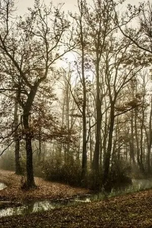 ปกนิยาย สนแค่ชีวิตผมพอ