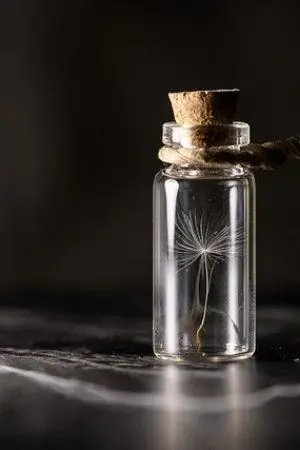 ปกนิยาย หล่อเท่ห์​