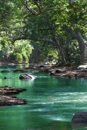 ปกนิยาย ทาสรักยัยจอมเถื่อน