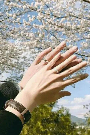 ปกนิยาย สมบัติของลูเซียโน่