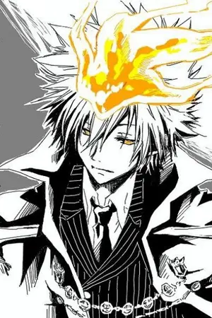 ปกนิยาย Fic Reborn Miracles of Love Across Time