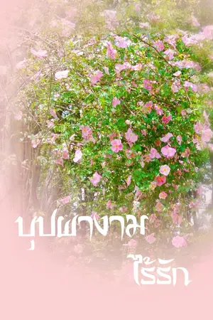 ปกนิยาย บุปผางามไร้รัก