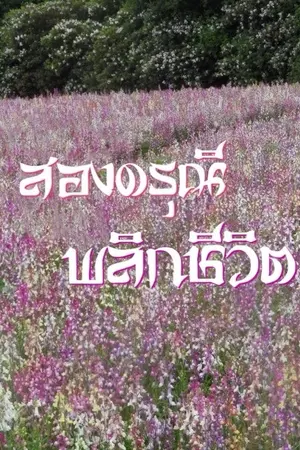 ปกนิยาย