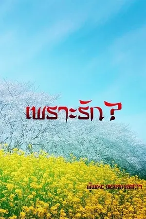 ปกนิยาย เพราะรัก?