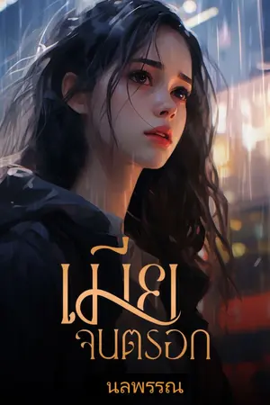 ปกนิยาย เมียจนตรอก