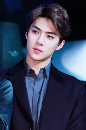 ปกนิยาย Mafia The Series หลงเด็ก