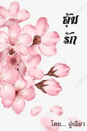 ปกนิยาย อุ้ม​รัก​ (มี e-book)​