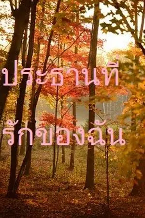 ปกนิยาย