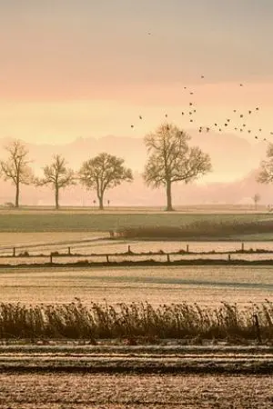 ปกนิยาย หนีช้ำมาทำฟาร์มที่บ้านบ้านเกิด