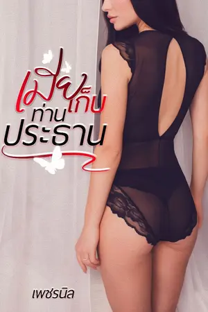 ปกนิยาย เมียเก็บท่านประธาน (อ่านฟรีถึง 31 สค 64)