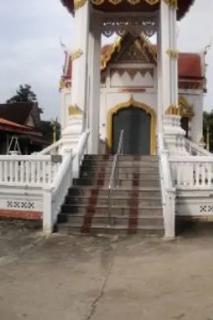 ปกนิยาย รักษาสุขภาพจิต