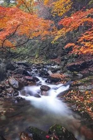 ปกนิยาย หนี้พันธนาการรัก