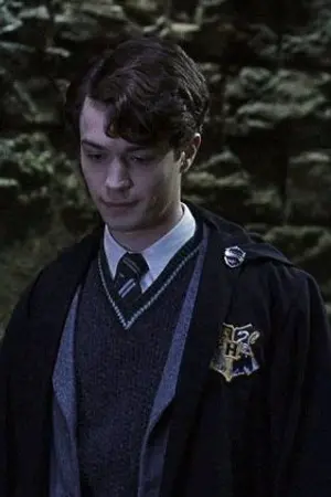 ปกนิยาย [Fic Harry Potter] ระบบผีป่วนจอมมาร [TMR×OC]