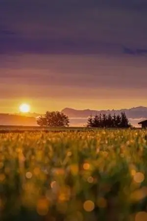 ปกนิยาย hidden track