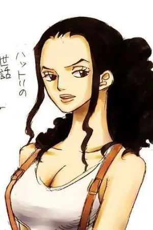 ปกนิยาย One Piece | Skank System ระบบสก๊อยซ่ากีหมาระเบิด!