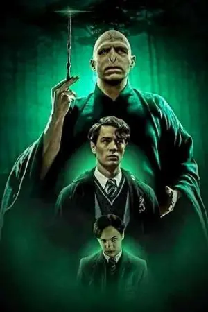 ปกนิยาย Harry Potter | Tom riddle x Oc | ที่เราเจอกันไม่ใช่เรื่องบังเอิญ (END)