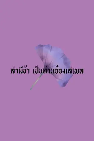 ปกนิยาย สามีข้า เป็นท่านอ๋องเสเพล
