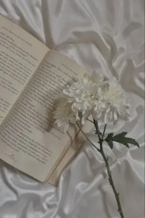 ปกนิยาย High Majesty love|(ไม่)รักแล้วทูลกระหม่อม