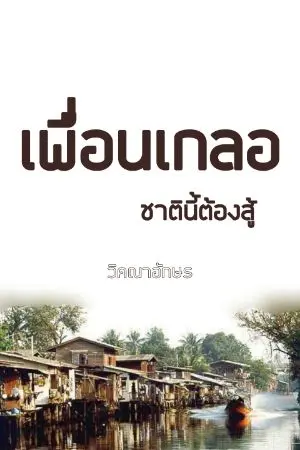 ปกนิยาย เพื่อนเกลอ ชาตินี้ต้องสู้