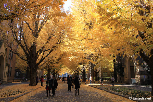 Tokyo_University.jpg