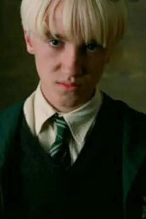 ปกนิยาย HARRY POTTER [ DRACO X OC ]