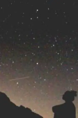 ปกนิยาย ชีวิตนี้ข้าขอเลือกเอง