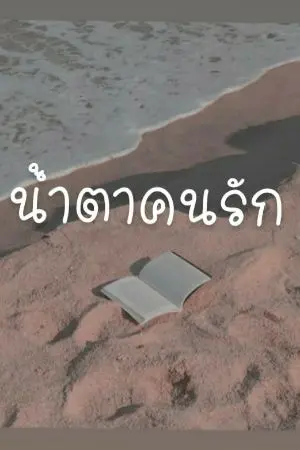 ปกนิยาย